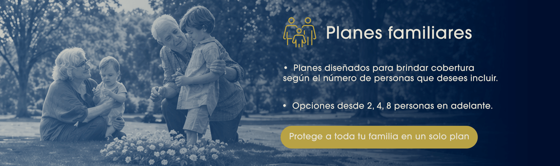 Bosque Santo - Planes familiares
